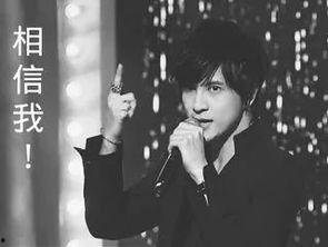 大金网红的黑料,黑料背后的真相与反思