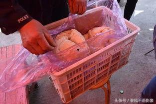 临猗哪里卖黑沙网料的,“临猗地区黑沙网料供应指南”