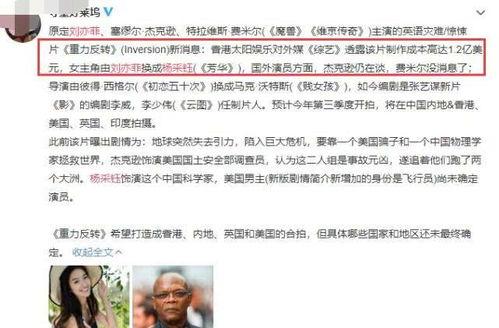 事实黑料小说阅读网