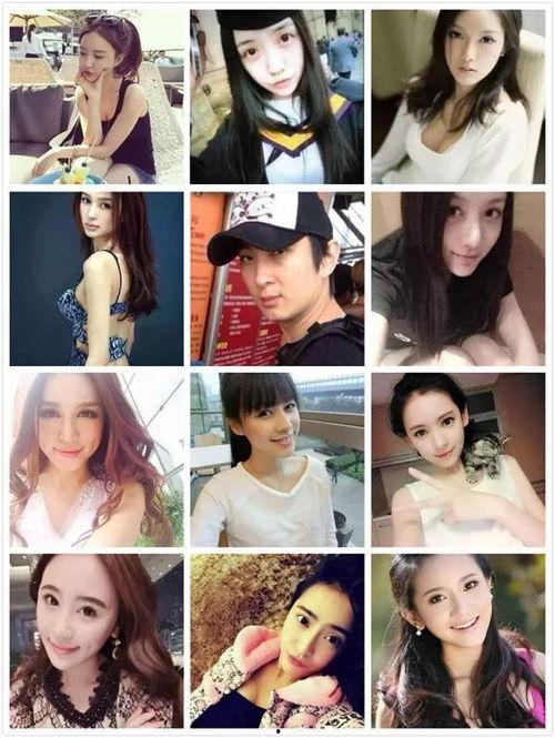 蘑菇视频黑料 网红明星,网红明星背后的真相