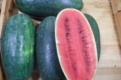 黑吃料吃瓜官网更新了吗,精彩内容不容错过!