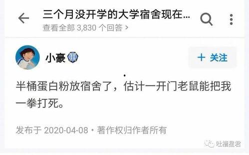 网红黑料加微信,微信背后的真相与争议