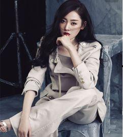 网剧黑料战,网剧背后的暗流涌动