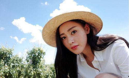 网剧黑料战,网剧背后的暗流涌动