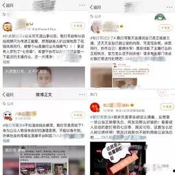 网红商务合作黑料,真相与反思