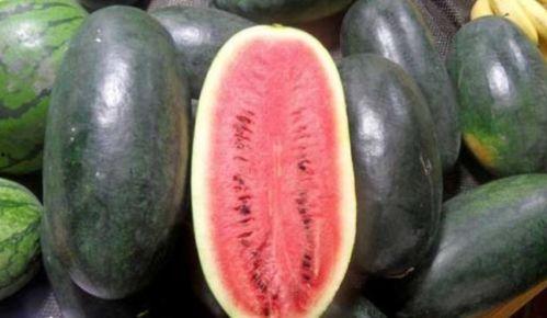 hl11cool黑料吃瓜网,网络舆论背后的真相与争议