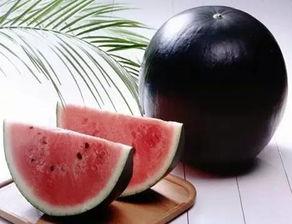 hl11cool黑料吃瓜网,网络舆论背后的真相与争议